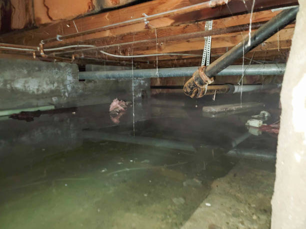  Hammond, LA Water damage restoration Pros
