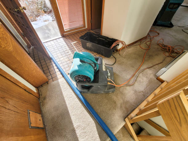 Trusted Hammond, LA Water damage restoration Experts