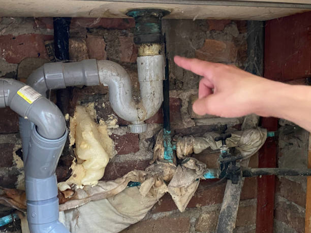 Best Basement water damage restoration  in Hammond, LA