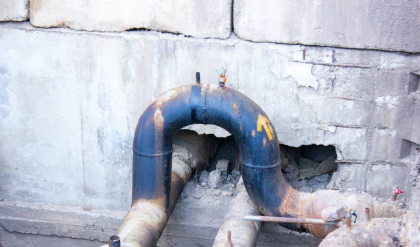 Best Fire Damage Restoration  in Hammond, LA