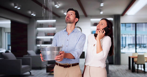 Best Flooded house restoration  in Hammond, LA