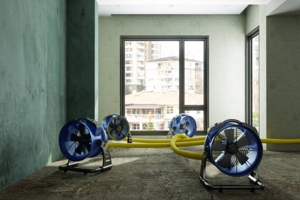 Best Water damage restoration near me  in Hammond, LA