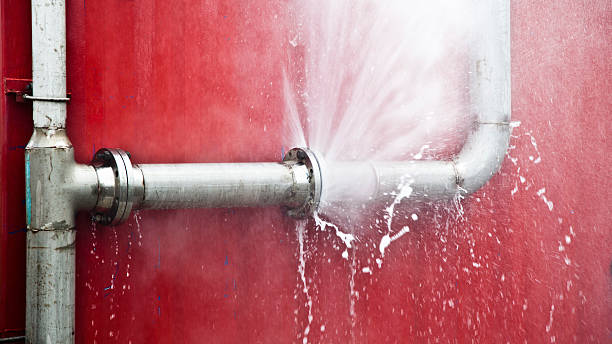Best Water damage cleanup near me  in Hammond, LA