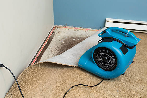 Water damage restoration insurance claims in Hammond, LA